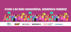 25N 2025: ¡Frente a los bulos neomachistas, autodefensa feminista!