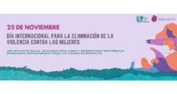 25 de noviembre: Día Internacional para la Eliminación de la Violencia contra las Mujeres