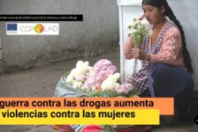 Retos y desafíos para mejorar la equidad de género en las políticas sobre drogas