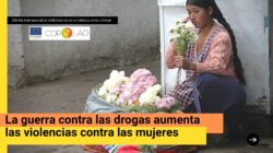 Retos y desafíos para mejorar la equidad de género en las políticas sobre drogas