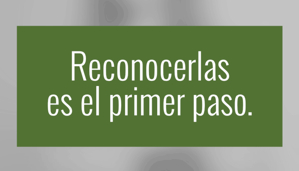 Fundación Salud y Comunidad se suma a la campaña de UNAD ‘Reconocerlas es el primer paso’ para exigir espacios seguros y adaptados para mujeres con adicciones víctimas de violencia de género