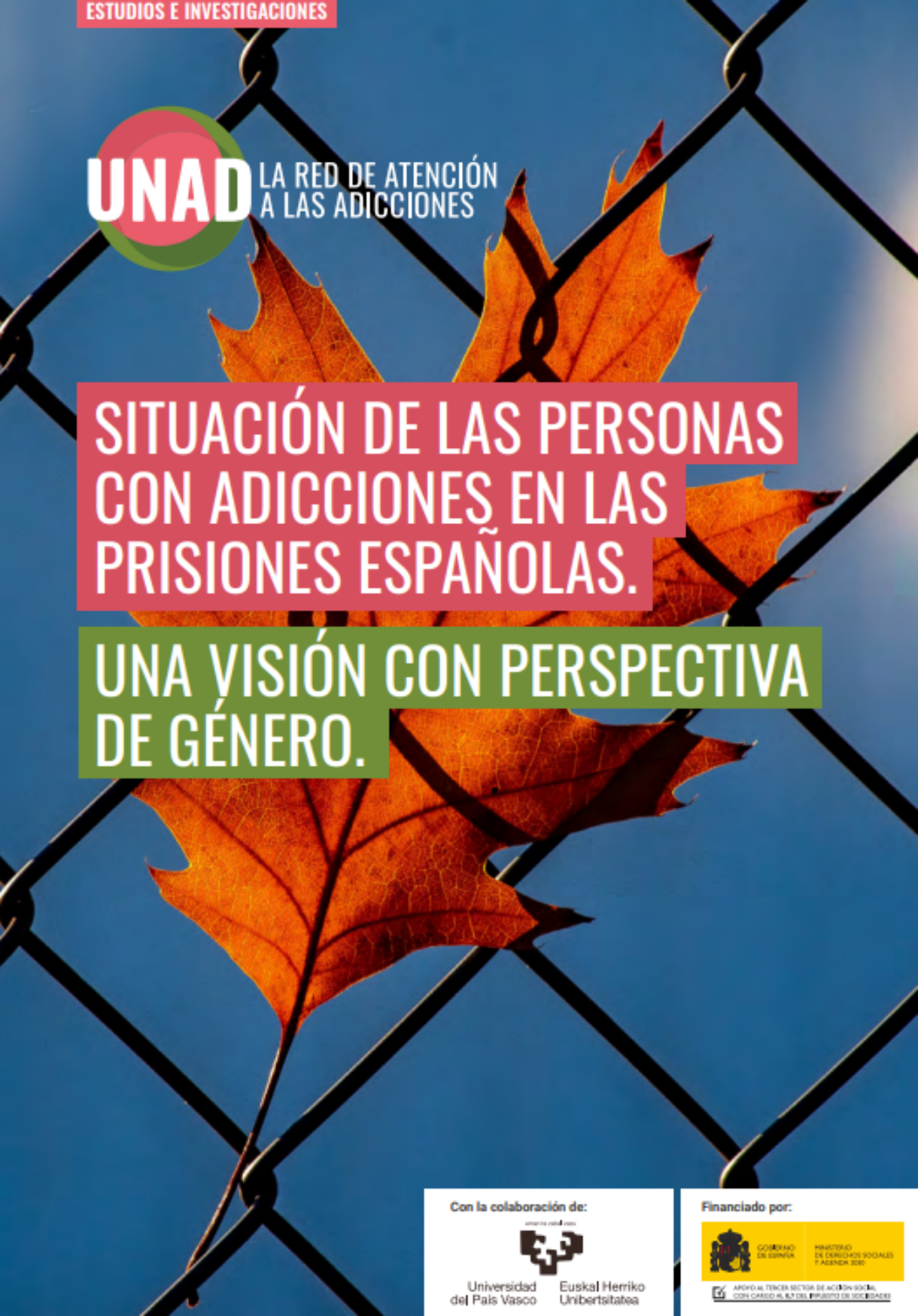 Situación de las personas con adicciones en las prisiones españolas. Una visión con perspectiva de género